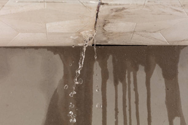 Professional Water Damage Repair technician working in Ramona, CA